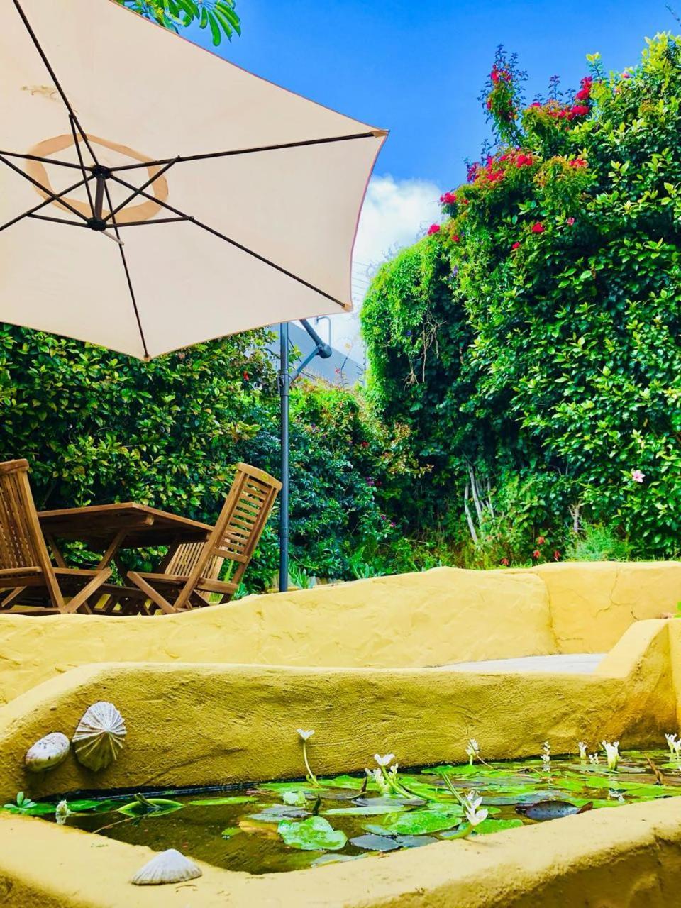 Sun, Sea & A Wood-fired Hot Tub In A Downtown Mediterranean Cape Town